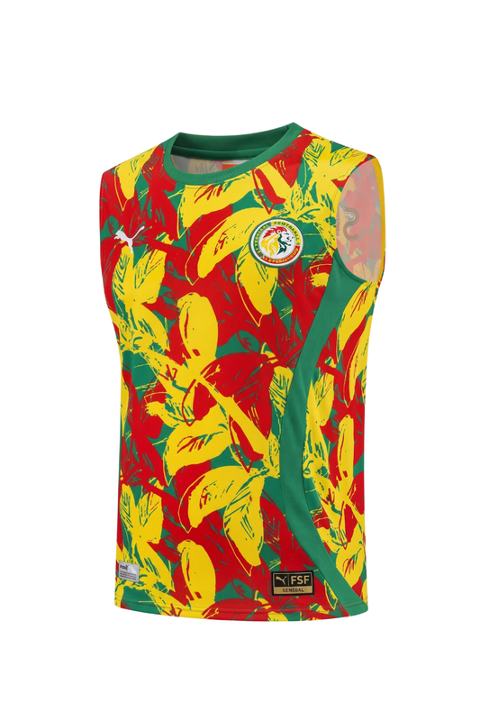 Senegal Green Sleeveless Set